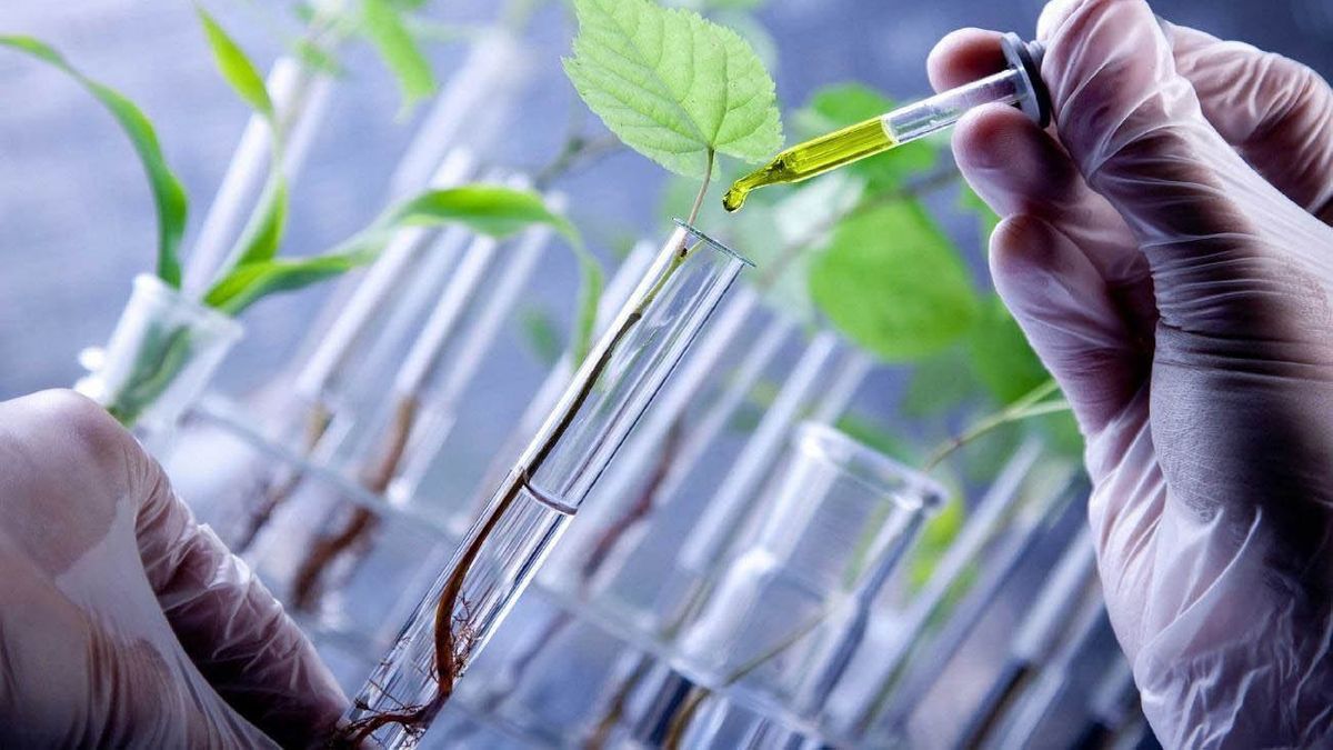 Los primeros biotecnólogos de Rosario celebran 30 años de recibidos en ...