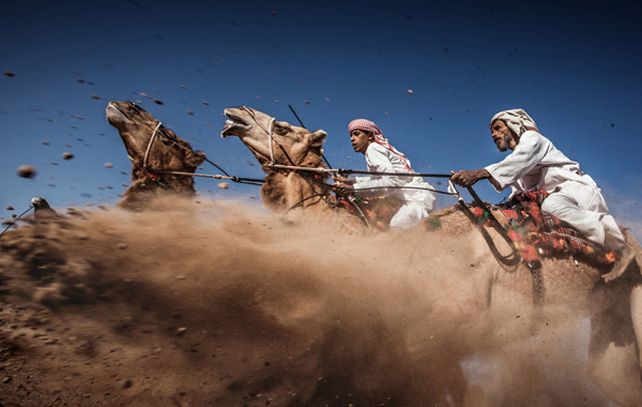 Una carrera de camellos en Omán se llevó la tercera colocación. (Ahmed Al Toqi / National Geographic Traveler Photo Contest)