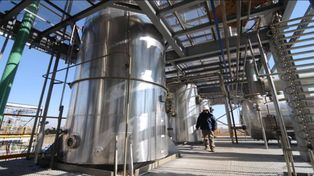 La industria del biodiesel, en jaque