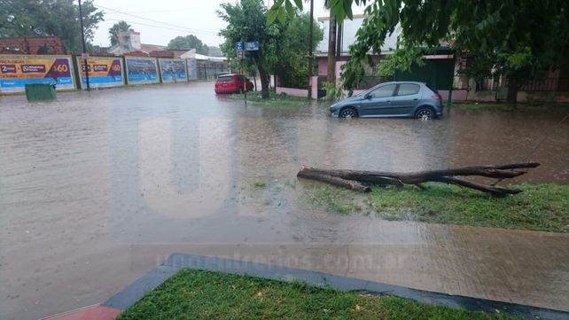 Por el temporal calles y casas anegadas, árboles caídos y familias afectadas