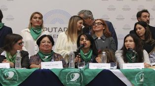 Vuelve a presentarse el proyecto de aborto legal en el Congreso