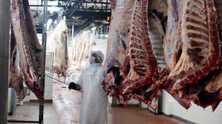 Geopolítica de la carne: el tablero en el que juega Argentina