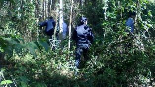 Intensa búsqueda de un nene de dos años que desapareció en un campo yerbatero