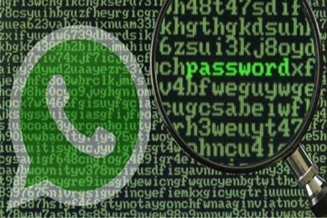 WhatsApp espía: conocé todos los accesos que tiene en tu teléfono
