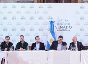 Ley Bases: el Senado sigue escuchando la exposición de invitados