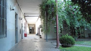 Cappiello: Si los médicos continúan con el paro quedarán cesantes