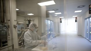 Sería lanzada en el primer semestre del año que viene