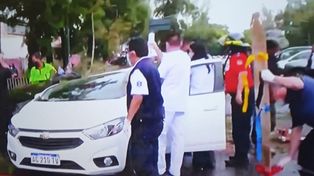 A woman was rescued after being trapped when an old tree fell on a car