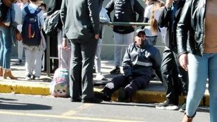 La anciana golpeó con su bastón al inspector que ordenaba el tránsito.