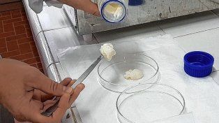 El gel que lograron los investigadores santafesinos es en base a leche y fortificado con calcio