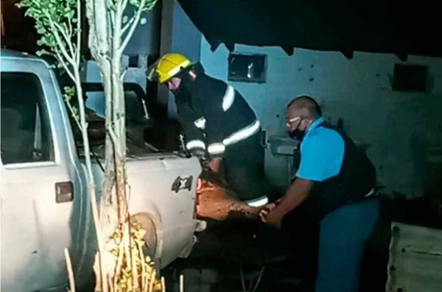 Un intendente no pudo hacer un asado porque bromatología le decomisó la carne