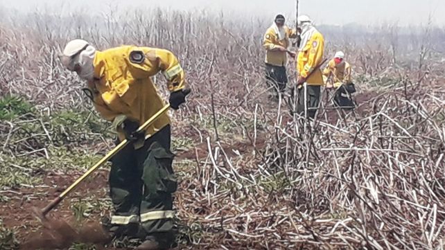 Puente Victoria Rosario: advierten por humo de incendios. Brigadistas de Entre Ríos y Santa Fe trabajan hace semanas para sofocarlos