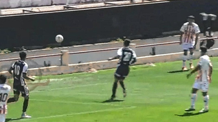 Video: un jugador de la Reserva de Platense cayó en el foso del estadio de Unión