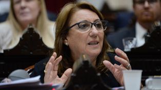 La presidenta del Partido Socialista a nivel nacional, Mónica Fein.