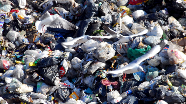 Basura en el relleno sanitario de Bella Vista