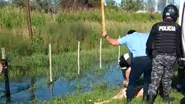 Apartaron al policía que golpeó al hombre desnudo en el canal