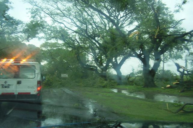 Humboldt: una cola de tornado cortó cables, voló techos y derribó árboles