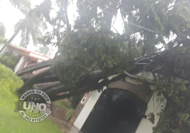 Terrible temporal de lluvia y viento generó graves destrozos en Paraná