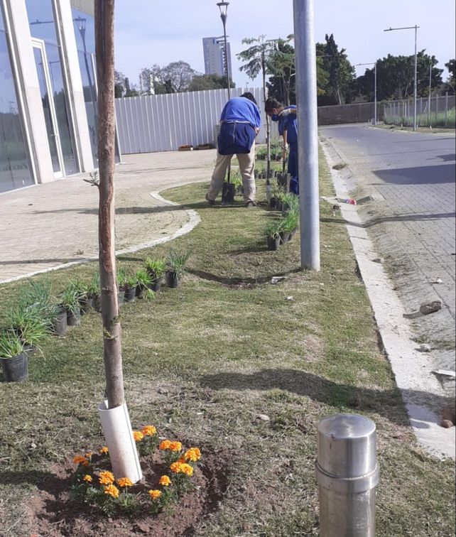Preparan la calle Antonella Trivisono que se inaugurará el domingo próximo