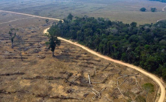 La deforestación en la Amazonia brasileña batió un nuevo récord. Un monitoreo satelital detectó 209 kilómetros cuadrados de bosques destruidos en Brasil