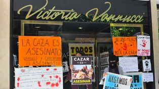 Escracharon la lencería de Victoria Vannucci por la caza de animales