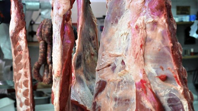 El campo anunció un paro de ocho días por el cierre de la exportación de carne vacuna