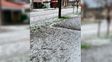 Un temporal con granizo y fuertes ráfagas provocó destrozos en Las Rosas y el sur santafesino