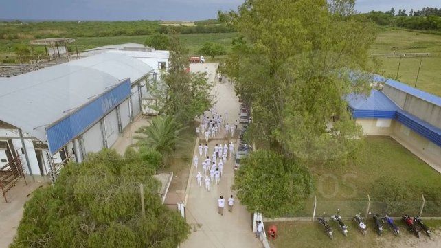 De la quiebra a la autogestión: la lucha colectiva que salvó a 100 familias en el frigorífico