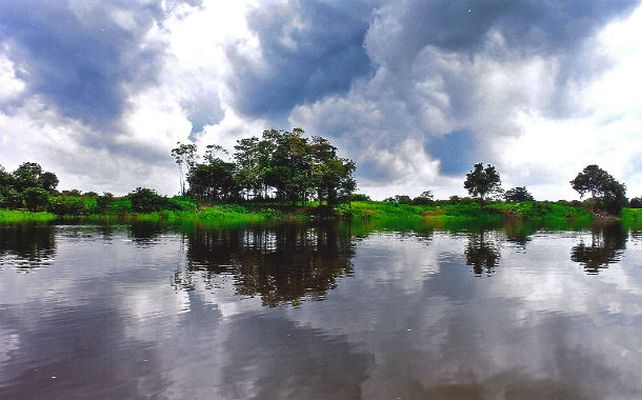 Paraíso en peligro. El río Amazonas y sus selvas son el mayor reservorio de biodiversidad del planeta.