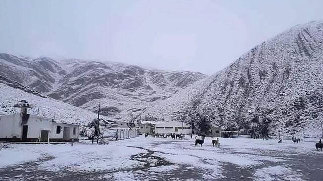 En pleno verano, el pueblo jujeño de Santa Catalina amaneció bajo un manto de nieve