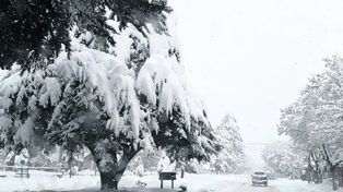 Evacuan con aviones a pobladores varados en la nieve en Chubut