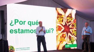 inversiones. El gerente de relaciones gubernamentales de Basf, Ricardo Pancelli, y el gerente senior de Investigación y Desarrollo, Fernando Cardello.