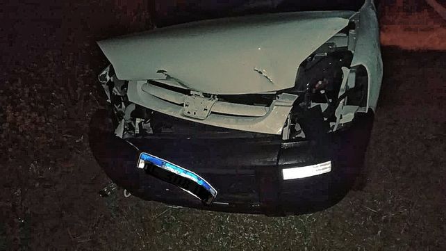 Se le cruzó un guazuncho cuando manejaba por la ruta 18