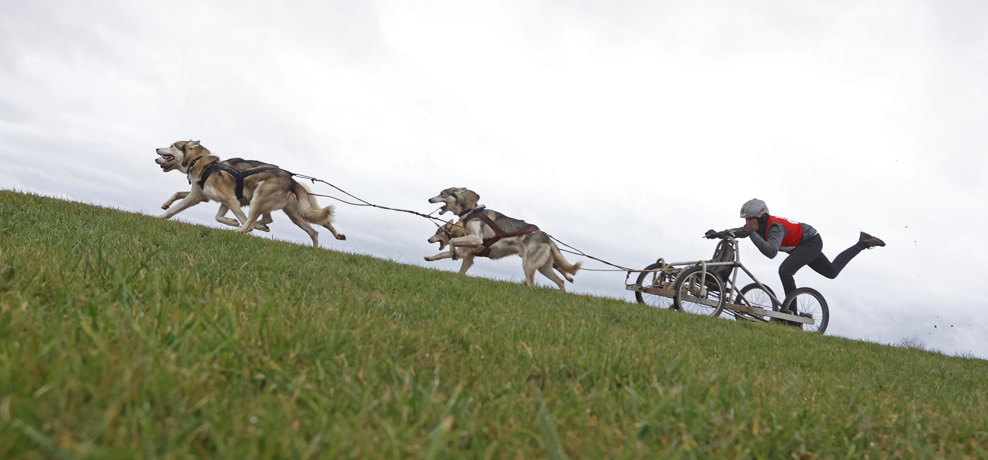 Un participante de la 22ª Carrera Internacional de Perros de Trineo en la ciudad occidental de Pullman City Harz durante la carrera por vueltas en Hasselfelde. (Matthias Bein/dpa vía AP, Archivo)