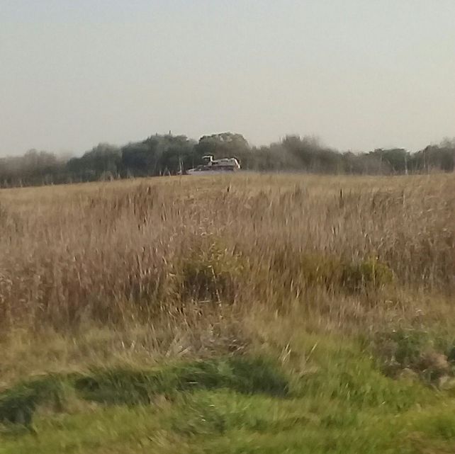 Al fondo el mosquito fumigando en un campo de La Picada.&nbsp;