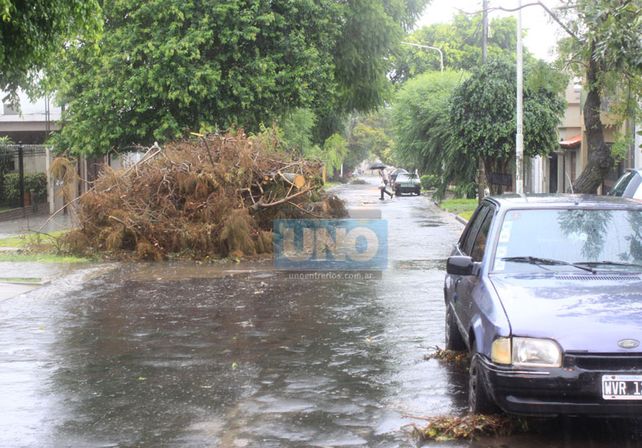 Calle Gobernador Sola. La foto fue tomada el viernes 26
