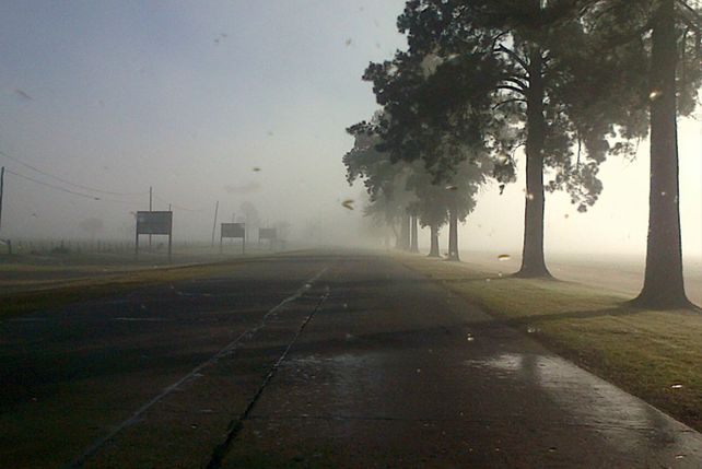Así estaba la ruta 19 esta mañana.