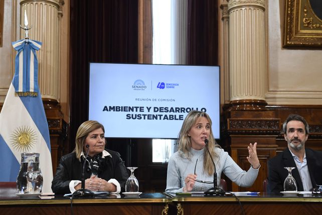 De una Argentina en llamas a una Argentina sostenible