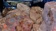 Gendarmería frustró el robo de 1.500 kilos de meteoritos en el Chaco