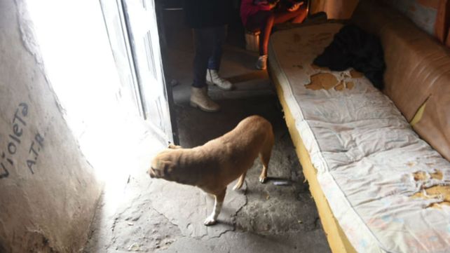 La humilde casa de la suegra de Brian Ortiz. El joven murió sobre esa cama.&nbsp;