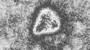 Fotos testigo. Fueron aportadas por distintos vecinos y se aprecian naves de diferentes formas, en este caso con una sorprendente imagen triangular.
