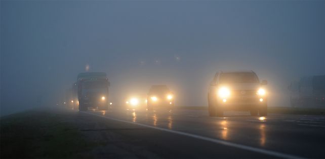 La niebla muy presente en esta mañana de miércoles.&nbsp;