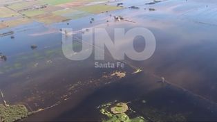 Recomendaron declarar la Emergencia Agropecuaria en 18 departamentos