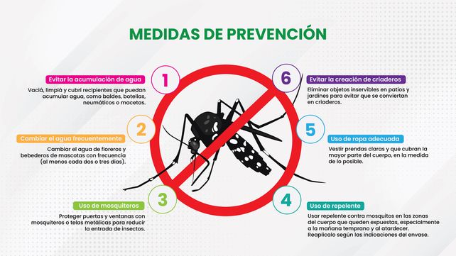 Dengue: todo lo que necesitás saber para cuidarte en verano