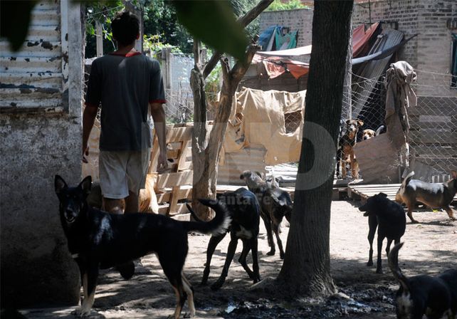 Piden colaboración para le refugio El ángel y la gloria