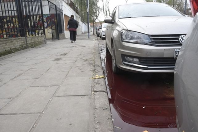 sangre. Ayer a la mañana el agua junto al cordón de la vereda de la escuela parecía un río colorado.