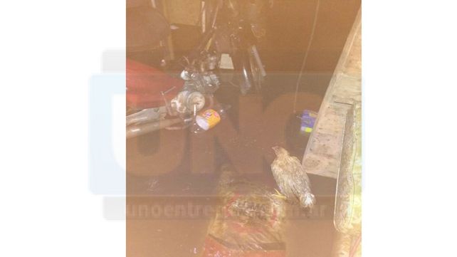 Espera ayuda la familia de Talita que se quedó sin nada por el temporal