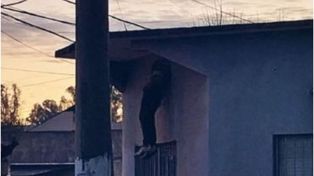 El ladrón quiso entrar a robar por una pequeña ventana de la casa que tenía rejas.