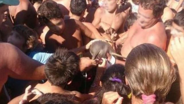 El turista tiene al defín bebe en sus manos