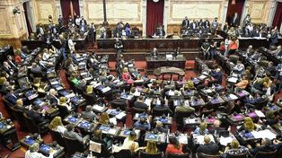 La Cámara de Diputados sesiona este miércoles para sancionar nuevos topes de de facturación.&nbsp;